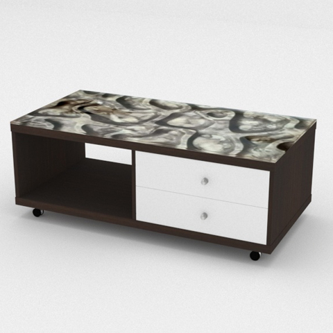 SCT 313 Coffee Table